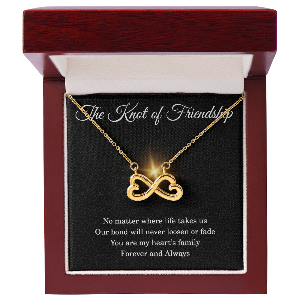 Friendship Gifts for Women Friendship Necklace for Her Birthday Gifts for Best Friend Knot of Necklace Christmas Gifts for Bestie BFF