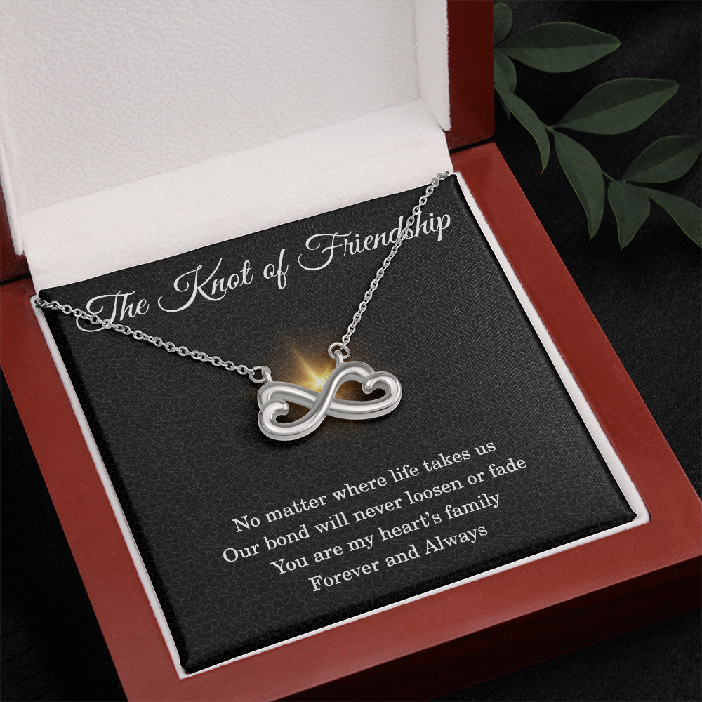 Friendship Gifts for Women Friendship Necklace for Her Birthday Gifts for Best Friend Knot of Necklace Christmas Gifts for Bestie BFF