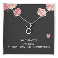 Load image into Gallery viewer, Long Distance Relationship Necklace Gift for Her Birthday – Women’s Zodiac Jewelry
