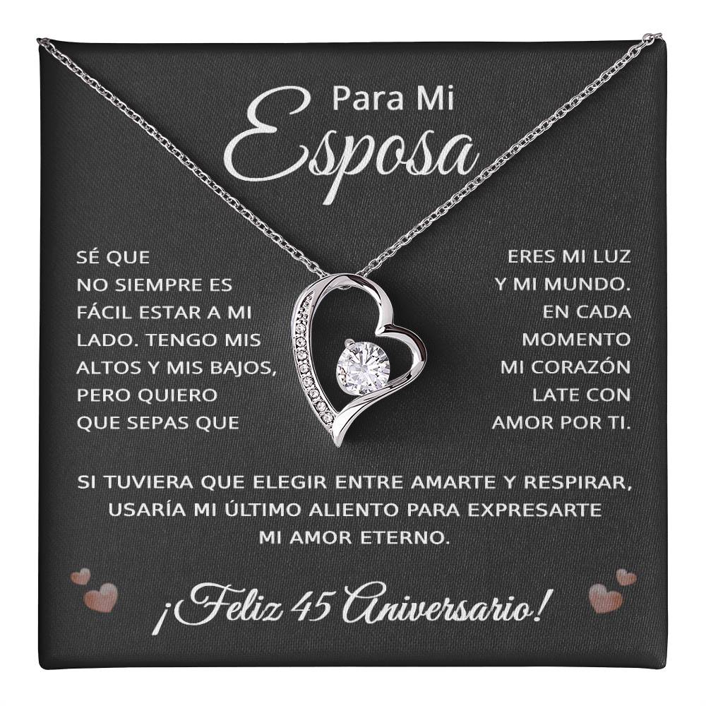 45 Anos de Aniversario Para Mi Esposa - 45 Year Aniversario Gift for Her