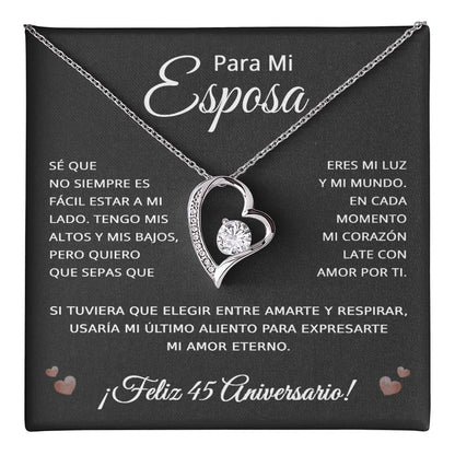 45 Anos de Aniversario Para Mi Esposa - 45 Year Aniversario Gift for Her