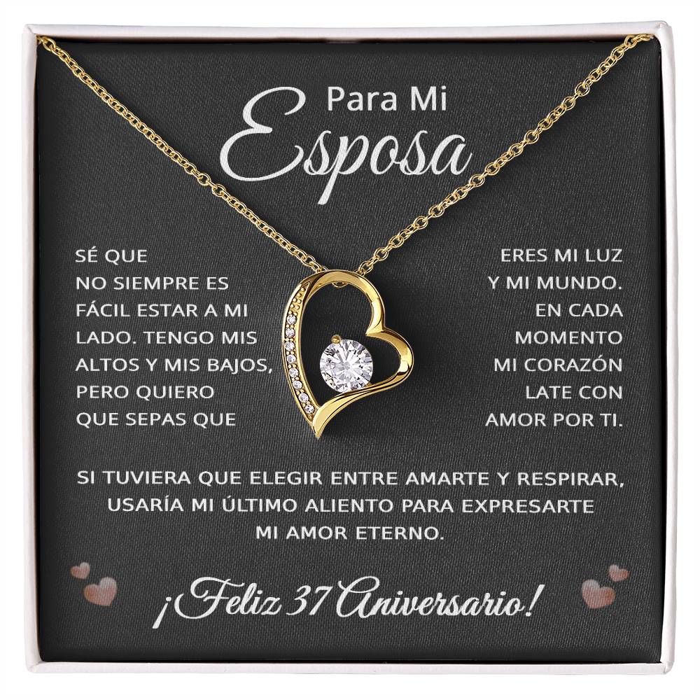 37 Anos de Aniversario Para Mi Esposa - 37 Year Aniversario Gift for Her