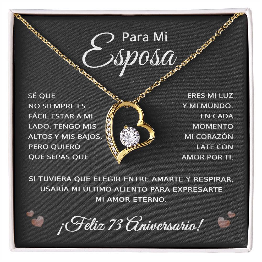 73 Anos de Aniversario Para Mi Esposa - 73 Year Aniversario Gift for Her