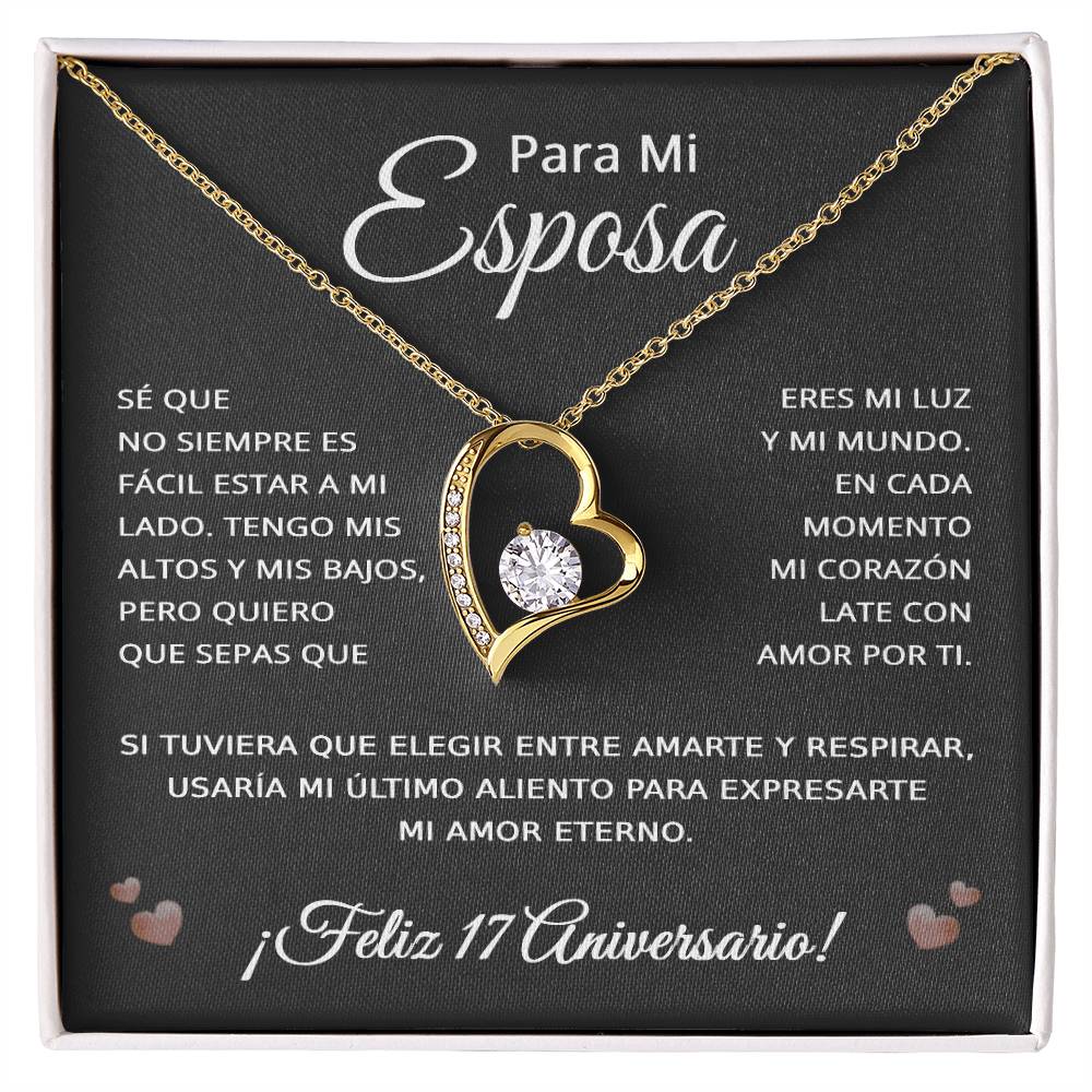 17 Anos de Aniversario Para Mi Esposa - 17 Year Aniversario Gift for Her