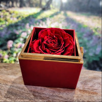 Load image into Gallery viewer, To My Mom Necklace with Message Card – Luxury Gift Box with Preserved Red Rose
