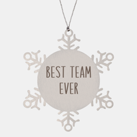 Load image into Gallery viewer, Best Team Ever Ornament Christmas Gift Snowflake Ornament – front view
