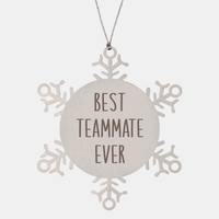 Load image into Gallery viewer, Best Teammate Ever Ornament Christmas Gift Snowflake Ornament – front view
