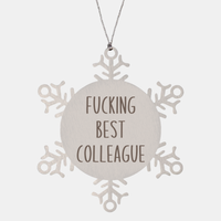 Load image into Gallery viewer, Fucking Best Colleague Ornament Christmas Gift Snowflake Ornament – front view
