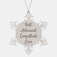Load image into Gallery viewer, Best Actuarial Consultant Ever Ornament Christmas Gift for Him Her Snowflake Ornament – front view
