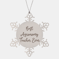 Load image into Gallery viewer, Best Agronomy Teacher Ever Ornament Christmas Gift for Him Her Snowflake Ornament – front view
