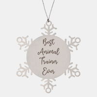 Load image into Gallery viewer, Best Animal Trainer Ever Ornament Christmas Gift for Him Her Snowflake Ornament – front view
