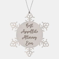 Load image into Gallery viewer, Best Appellate Attorney Ever Ornament Christmas Gift for Him Her Snowflake Ornament – front view
