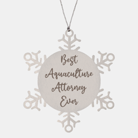 Load image into Gallery viewer, Best Aquaculture Attorney Ever Ornament Christmas Gift for Him Her Snowflake Ornament – front view
