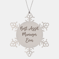 Load image into Gallery viewer, Best Asset Manager Ever Ornament Christmas Gift for Him Her Snowflake Ornament – front view
