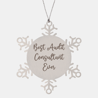 Load image into Gallery viewer, Best Audit Consultant Ever Ornament Christmas Gift for Him Her Snowflake Ornament – front view
