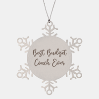 Load image into Gallery viewer, Best Budget Coach Ever Ornament Christmas Gift for Him Her Snowflake Ornament – front view
