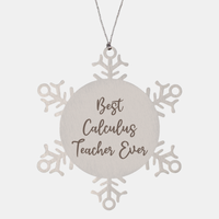 Load image into Gallery viewer, Best Calculus Teacher Ever Ornament Christmas Gift for Him Her Snowflake Ornament – front view
