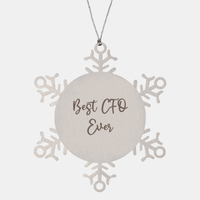 Load image into Gallery viewer, Best CFO Ever Ornament Christmas Gift for Him Her Snowflake Ornament – front view
