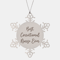 Load image into Gallery viewer, Best Correctional Nurse Ever Ornament Christmas Gift for Him Her Snowflake Ornament – front view
