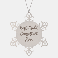 Load image into Gallery viewer, Best Credit Consultant Ever Ornament Christmas Gift for Him Her Snowflake Ornament – front view
