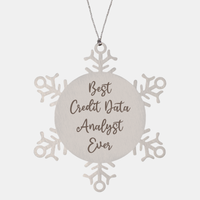 Load image into Gallery viewer, Best Credit Data Analyst Ever Ornament Christmas Gift for Him Her Snowflake Ornament – front view
