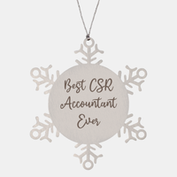 Load image into Gallery viewer, Best CSR Accountant Ever Ornament Christmas Gift for Him Her Snowflake Ornament – front view
