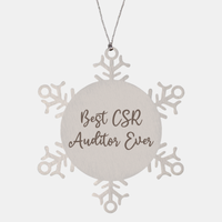 Load image into Gallery viewer, Best CSR Auditor Ever Ornament Christmas Gift for Him Her Snowflake Ornament – front view
