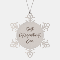 Load image into Gallery viewer, Best Cytogeneticist Ever Ornament Christmas Gift for Him Her Snowflake Ornament – front view
