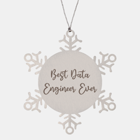 Load image into Gallery viewer, Best Data Engineer Ever Ornament Christmas Gift for Him Her Snowflake Ornament – front view
