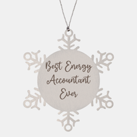 Load image into Gallery viewer, Best Energy Accountant Ever Ornament Christmas Gift for Him Her Snowflake Ornament – front view
