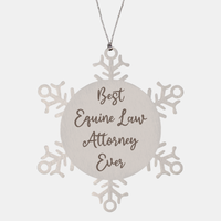 Load image into Gallery viewer, Best Equine Law Attorney Ever Ornament Christmas Gift for Him Her Snowflake Ornament – front view
