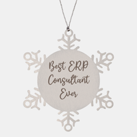 Load image into Gallery viewer, Best ERP Consultant Ever Ornament Christmas Gift for Him Her Snowflake Ornament – front view
