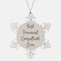 Load image into Gallery viewer, Best Financial Consultant Ever Ornament Christmas Gift for Him Her Snowflake Ornament – front view
