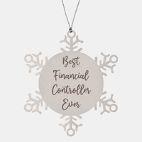 Load image into Gallery viewer, Best Financial Controller Ever Ornament Christmas Gift for Him Her Snowflake Ornament – front view
