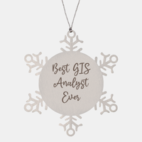 Load image into Gallery viewer, Best GIS Analyst Ever Ornament Christmas Gift for Him Her Snowflake Ornament – front view
