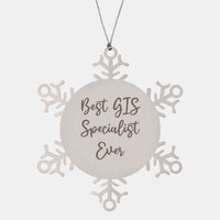 Load image into Gallery viewer, Best GIS Specialist Ever Ornament Christmas Gift for Him Her Snowflake Ornament – front view
