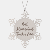 Load image into Gallery viewer, Best Homeschool Teacher Ever Ornament Christmas Gift for Him Her Snowflake Ornament – front view
