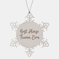 Load image into Gallery viewer, Best Horse Trainer Ever Ornament Christmas Gift for Him Her Snowflake Ornament – front view
