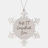 Load image into Gallery viewer, Best IT Consultant Ever Ornament Christmas Gift for Him Her Snowflake Ornament – front view
