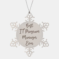Load image into Gallery viewer, Best IT Program Manager Ever Ornament Christmas Gift for Him Her Snowflake Ornament – front view
