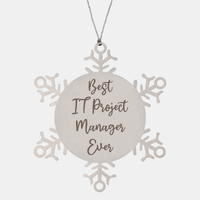 Load image into Gallery viewer, Best IT Project Manager Ever Ornament Christmas Gift for Him Her Snowflake Ornament – front view
