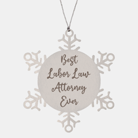Load image into Gallery viewer, Best Labor Law Attorney Ever Ornament Christmas Gift for Him Her Snowflake Ornament – front view
