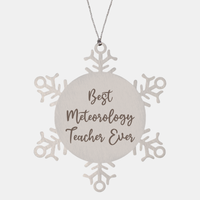 Load image into Gallery viewer, Best Meteorology Teacher Ever Ornament Christmas Gift for Him Her Snowflake Ornament – front view
