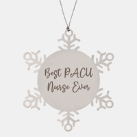 Load image into Gallery viewer, Best PACU Nurse Ever Ornament Christmas Gift for Him Her Snowflake Ornament – front view
