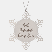 Load image into Gallery viewer, Best Perinatal Nurse Ever Ornament Christmas Gift for Him Her Snowflake Ornament – front view
