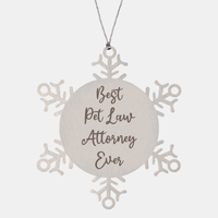 Load image into Gallery viewer, Best Pet Law Attorney Ever Ornament Christmas Gift for Him Her Snowflake Ornament – front view

