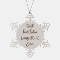 Load image into Gallery viewer, Best Portfolio Consultant Ever Ornament Christmas Gift for Him Her Snowflake Ornament – front view
