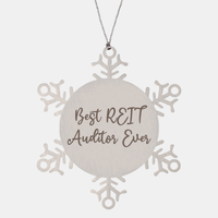 Load image into Gallery viewer, Best REIT Auditor Ever Ornament Christmas Gift for Him Her Snowflake Ornament – front view
