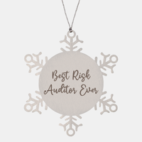 Load image into Gallery viewer, Best Risk Auditor Ever Ornament Christmas Gift for Him Her Snowflake Ornament – front view
