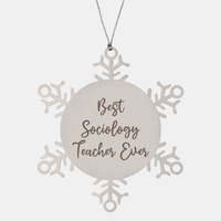 Load image into Gallery viewer, Best Sociology Teacher Ever Ornament Christmas Gift for Him Her Snowflake Ornament – front view
